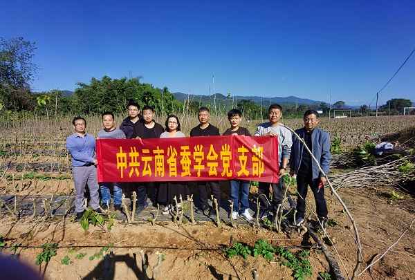 云南省蚕学会12月主题党日.jpg